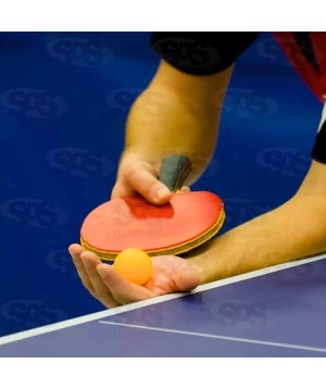 Bolinhas de Ping Pong 6 Unidades 20342